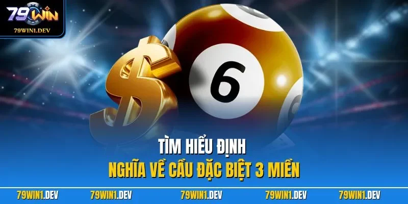 Tìm hiểu định nghĩa về cầu đặc biệt 3 miền